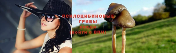 метамфетамин Алексеевка