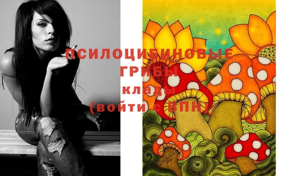 кокс Алзамай