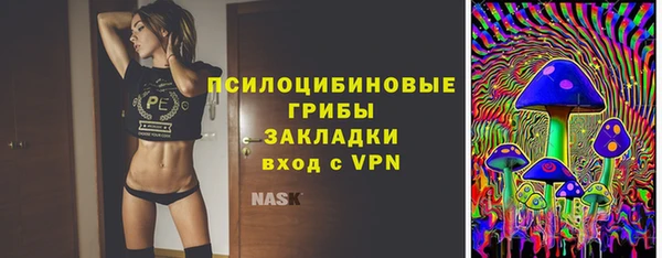 кокс Алзамай