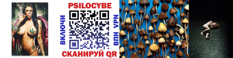 Псилоцибиновые грибы мицелий  Осинники 